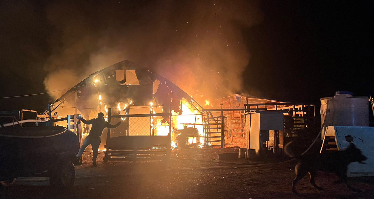 Bursa’da çiftlikte yangın: 580 kanatlı hayvan telef oldu