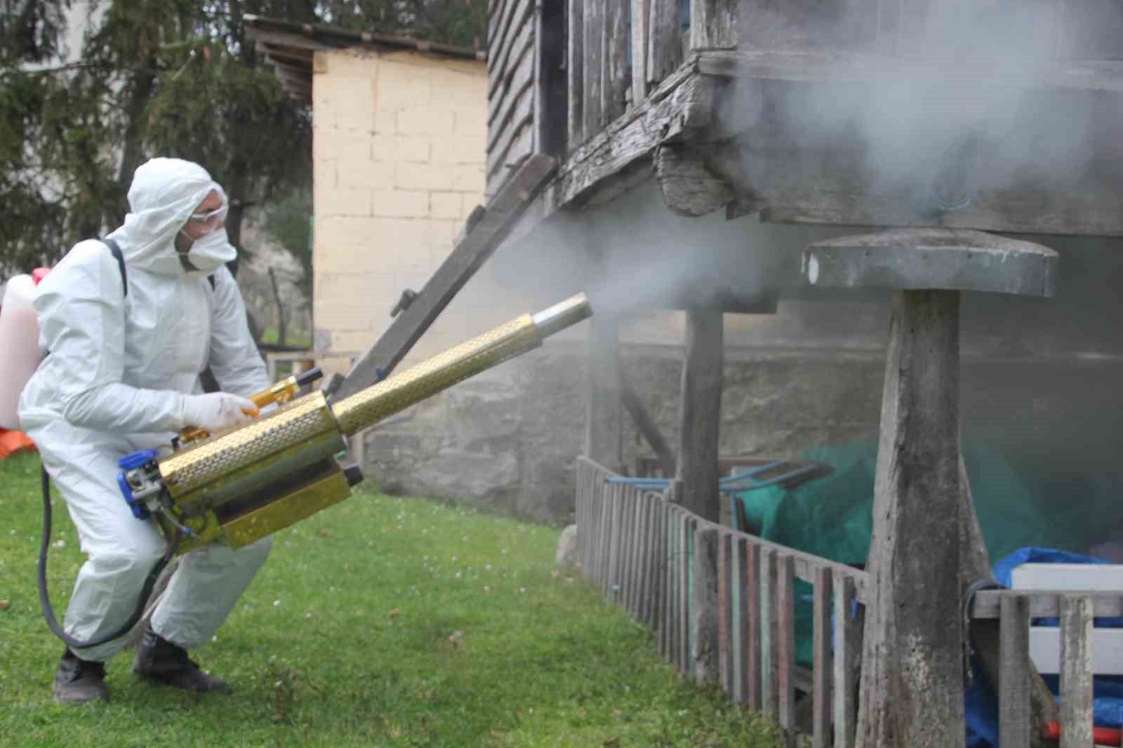 Ordu’da kahverengi kokarca ile kışlak mücadelesi: 330 bin noktadan 190 bini ilaçlandı