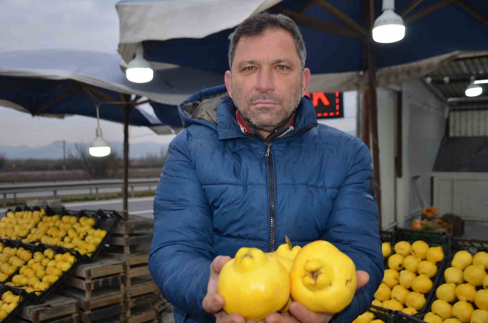 Ayvayı bu sene ayaz vurdu, fiyatlar fırladı
