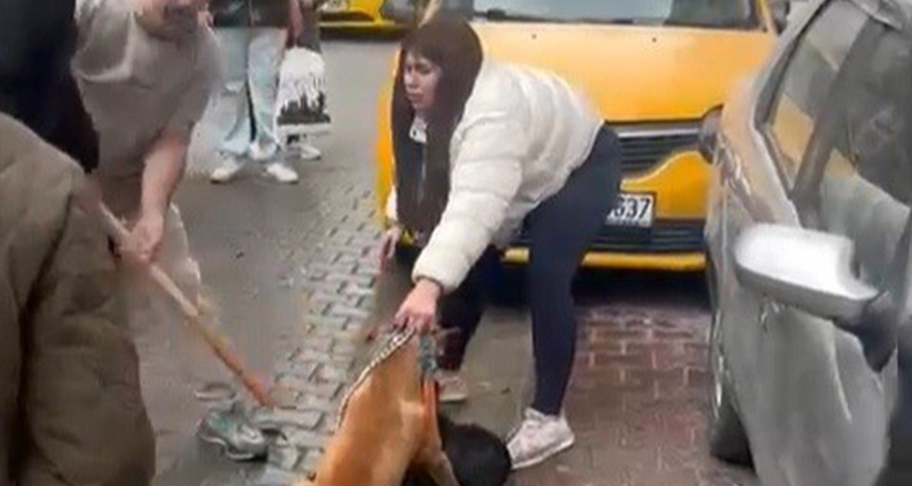 Çorlu’da pitbull dehşetinde yeni görüntüler: Köpek sahibi müdahaleye engel oldu, gerilim büyüdü
