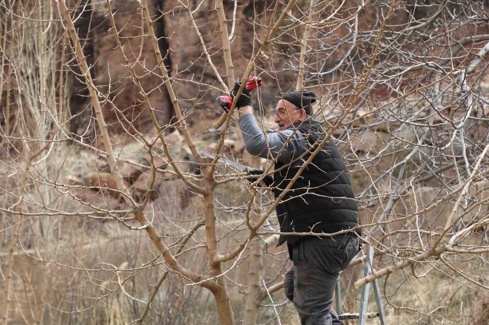 Erzurum’da köylerde bahçe bakım çalışmaları başladı