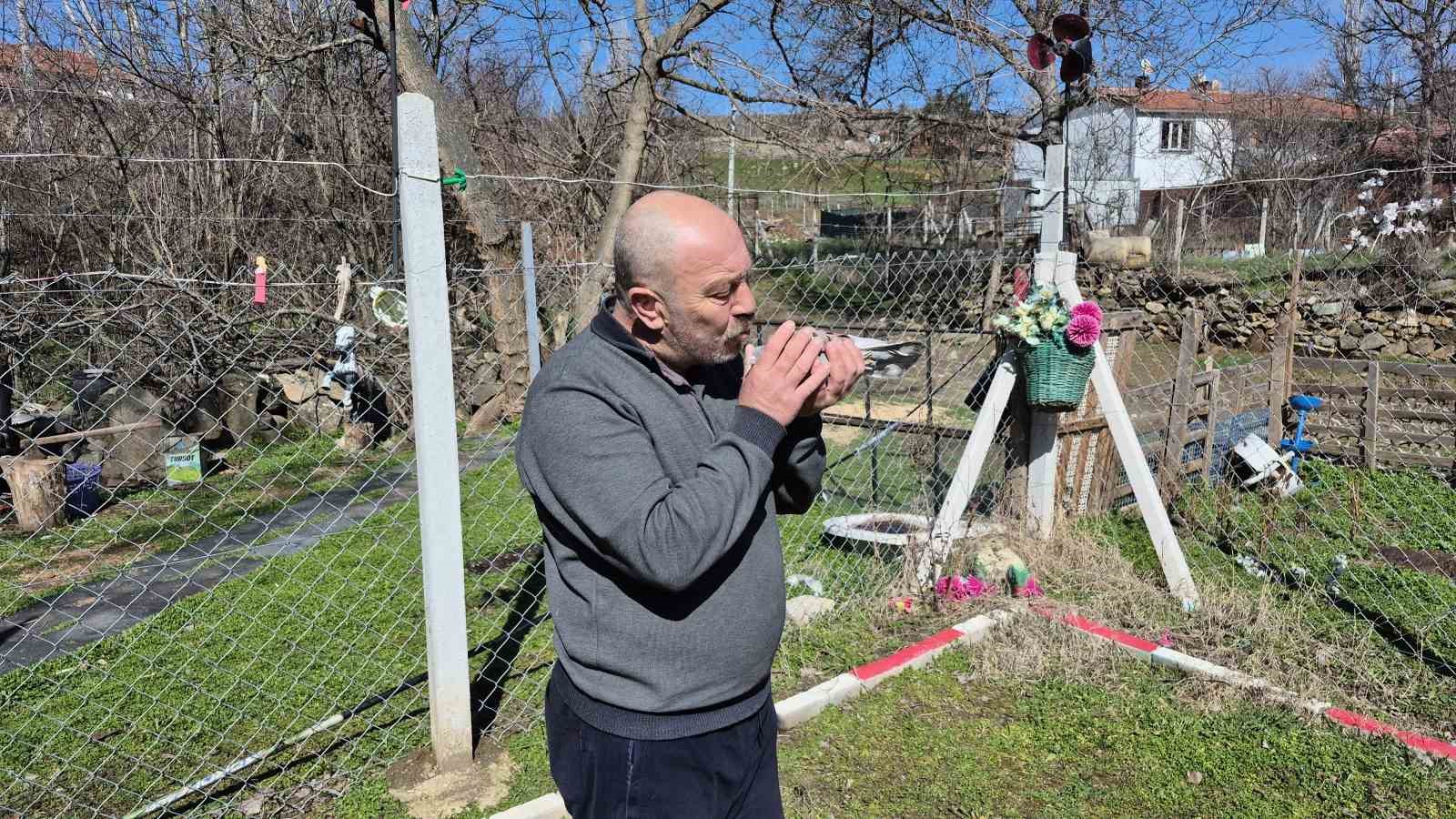 Çocukluğundan bu yana güvercin tutkunu olan adam: 