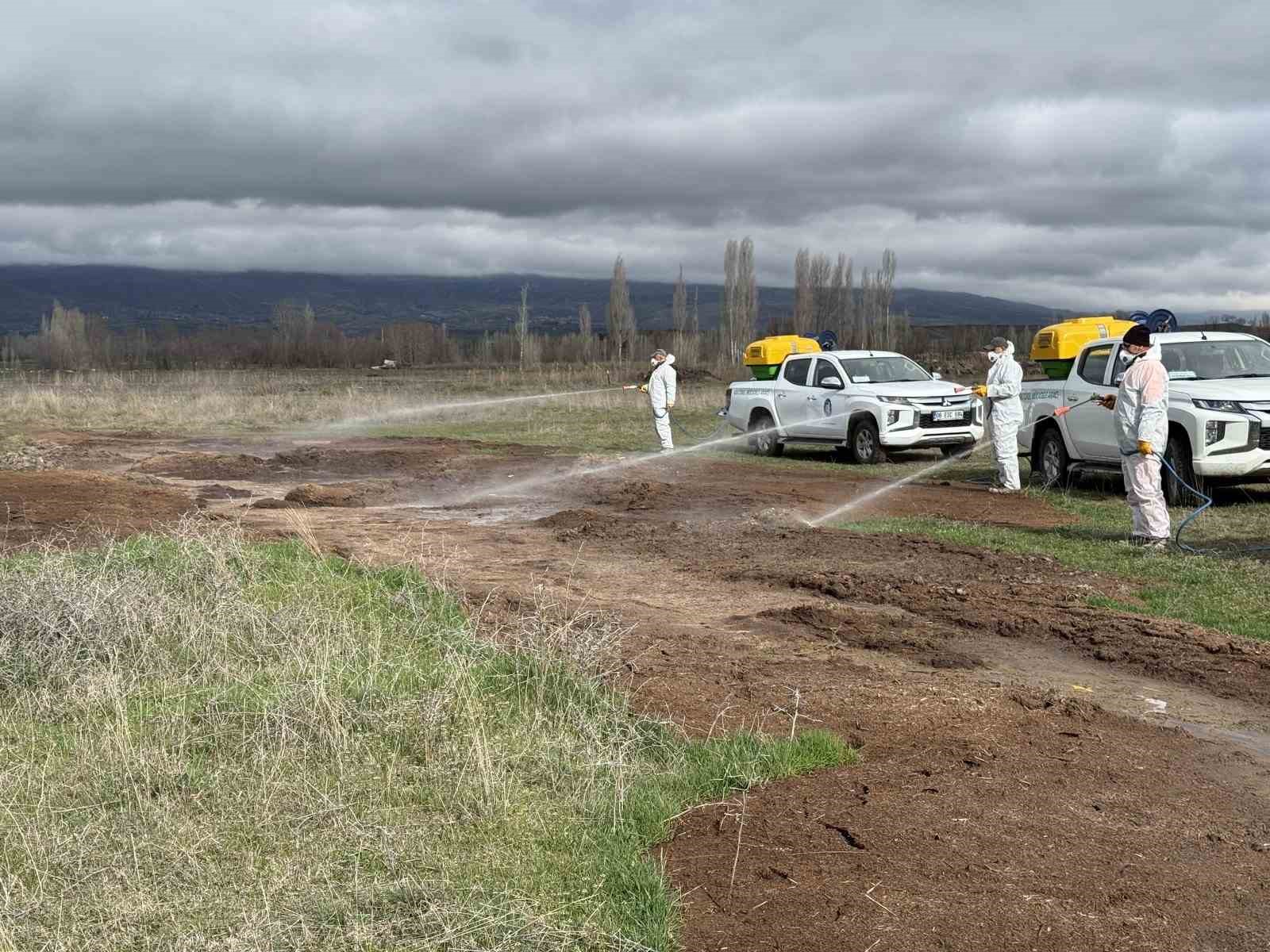 Çorum Belediyesi’nden yaz öncesi vektörle mücadele