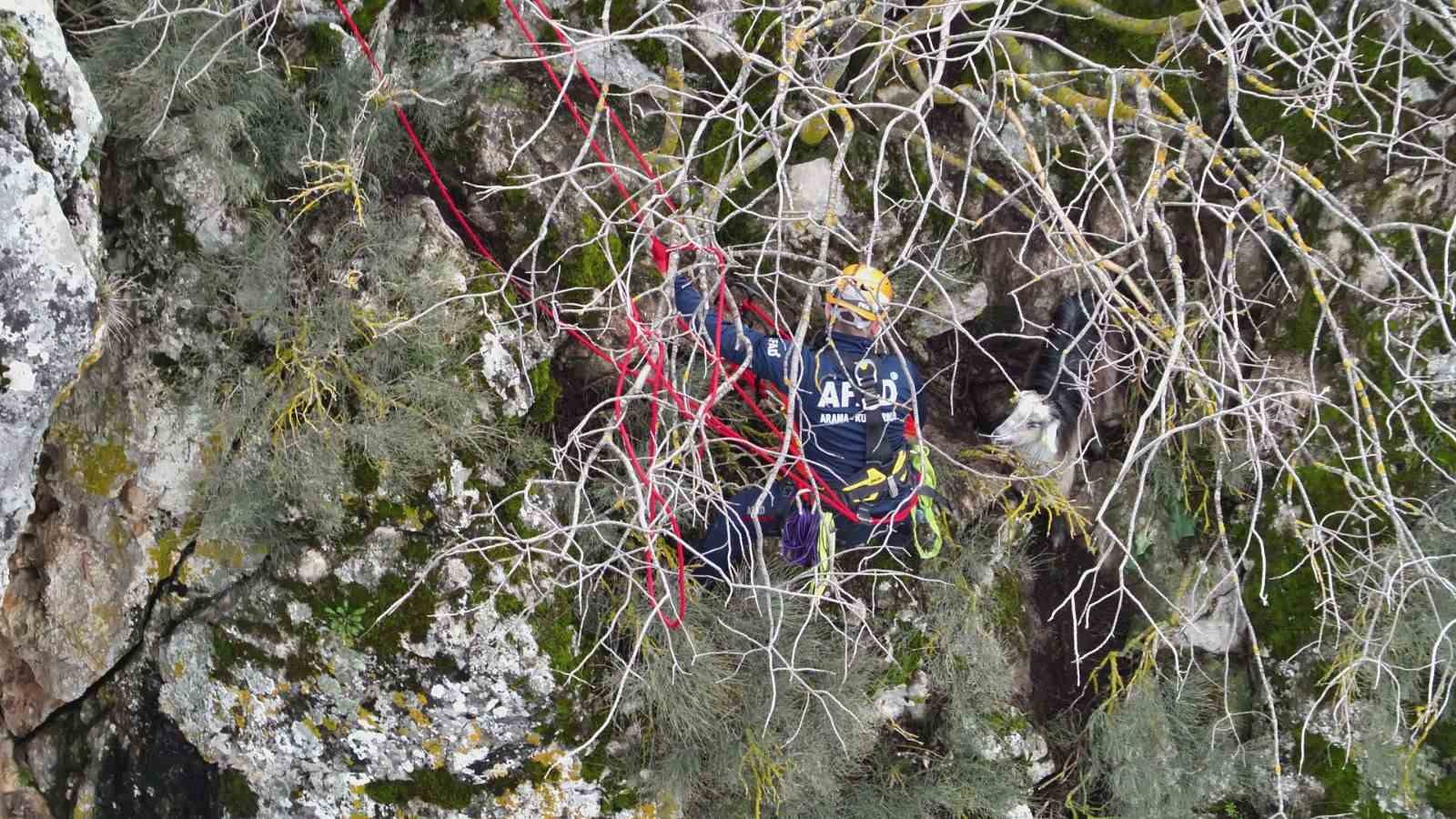 Dağda mahsur kalan keçi kurtarıldı