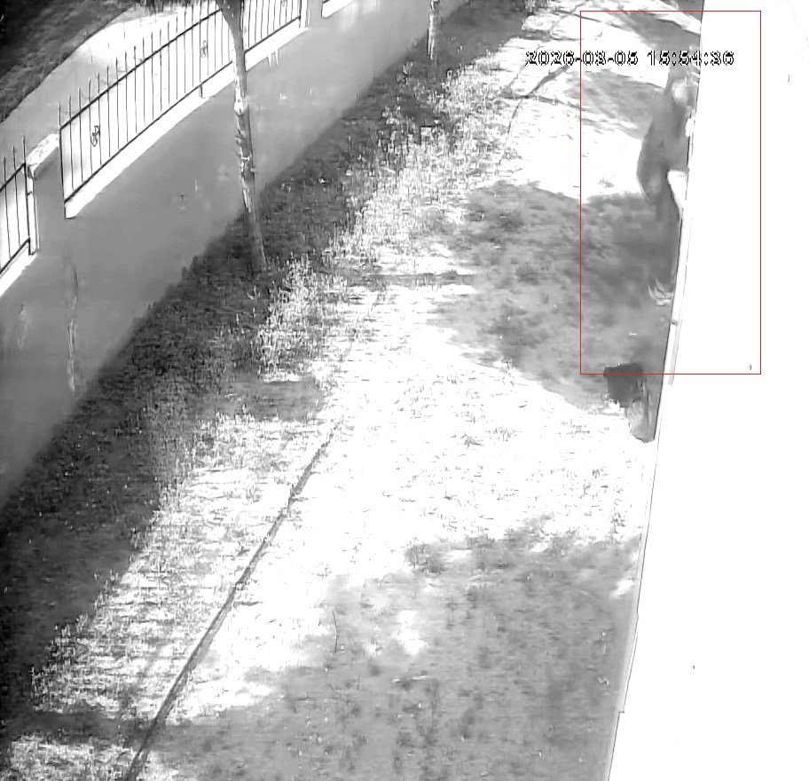 Apartman dairesine tırmanıp girdi, dizüstü bilgisayar çaldı