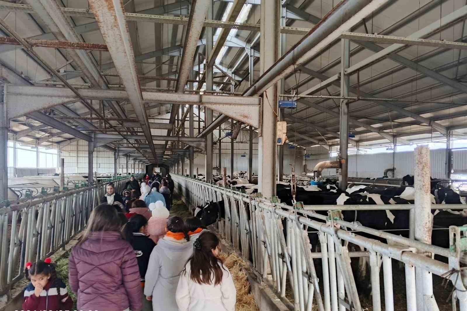 Çocuklar, tarımsal üretimi yerinde inceledi