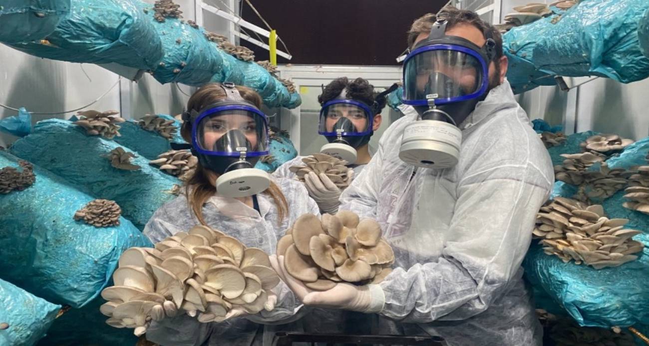 Hobi olarak başladığı mantar yetiştiriciliğinde günde 1 tona yakın hasat elde ediyor