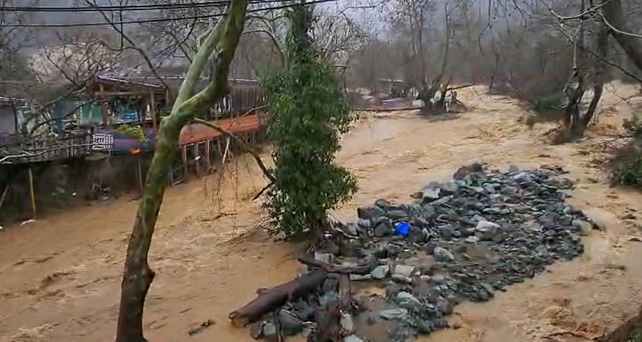 Yalova’da sağanak yağışta dereler taştı, 5 büyükbaş hayvan telef oldu
