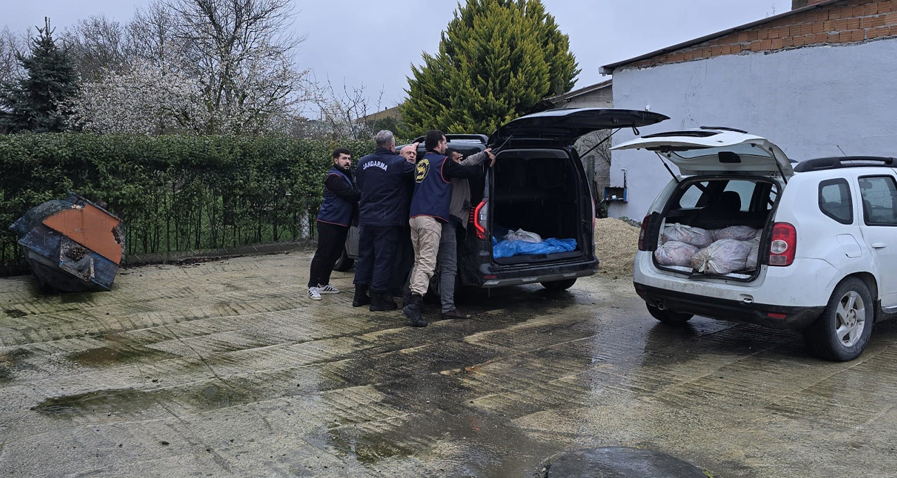 Silivri’de satışa hazır 306 kilo at eti yakalandı, 3 kişi gözaltına alındı