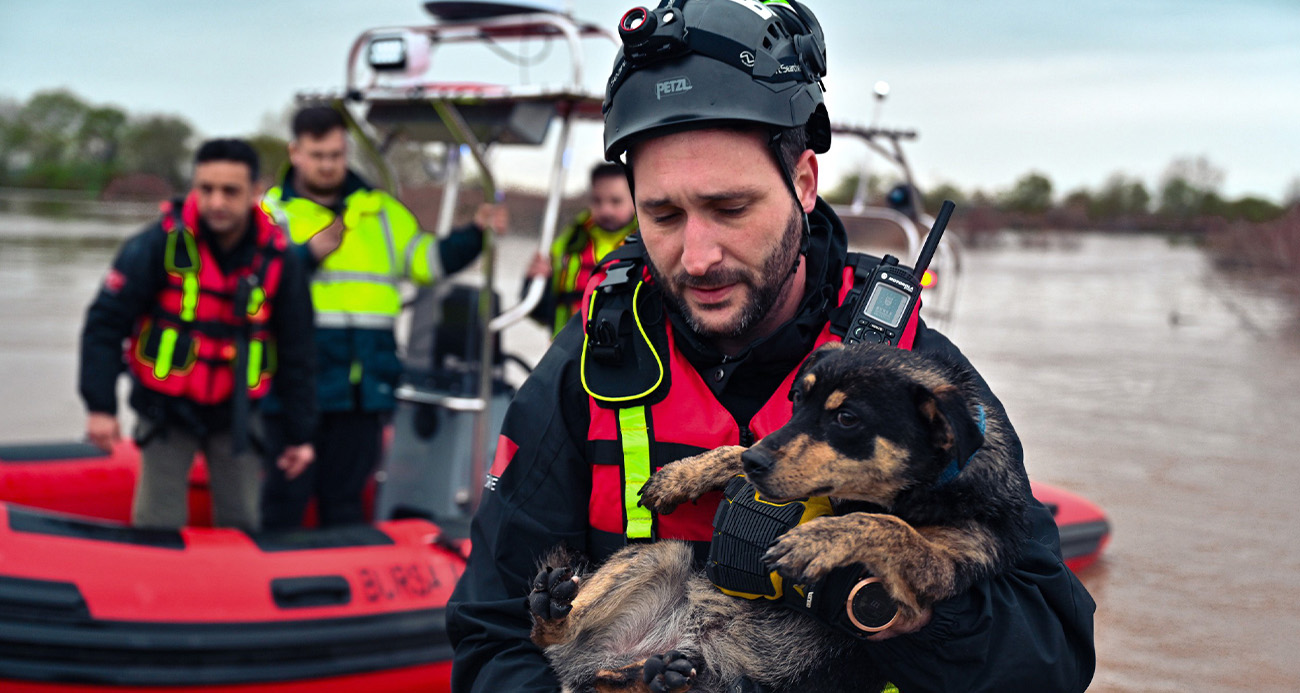 Sular altında kalan bağ evinde mahsur kalan iki köpeği belediye ekipleri kurtardı