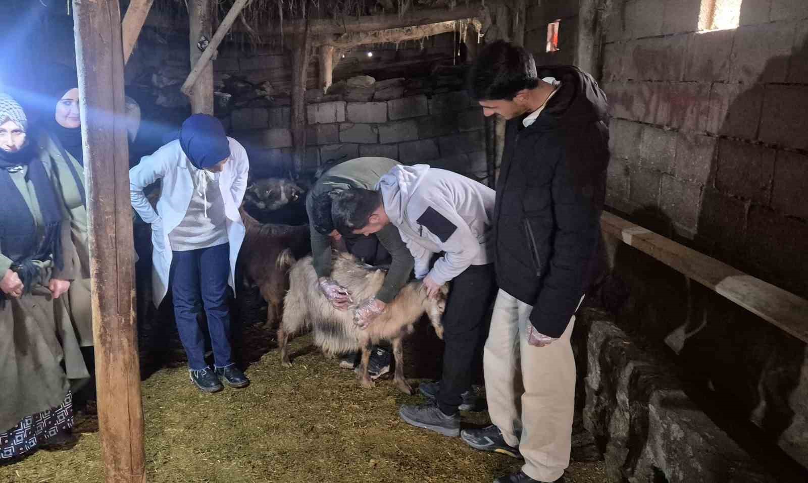 Özalp’te çiftçilere yönelik eğitim seferberliği başlatıldı