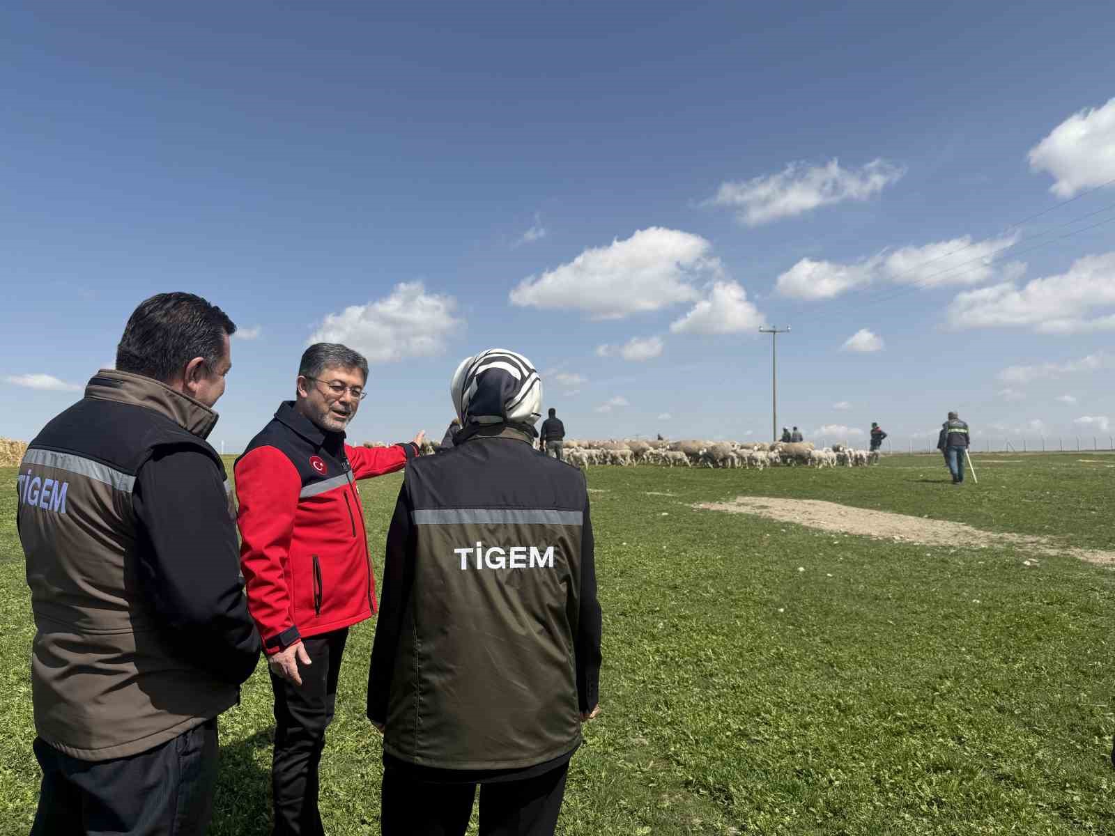 Bakan Yumaklı: (Kırsalda Bereket Küçükbaşa Destek Projesi) 