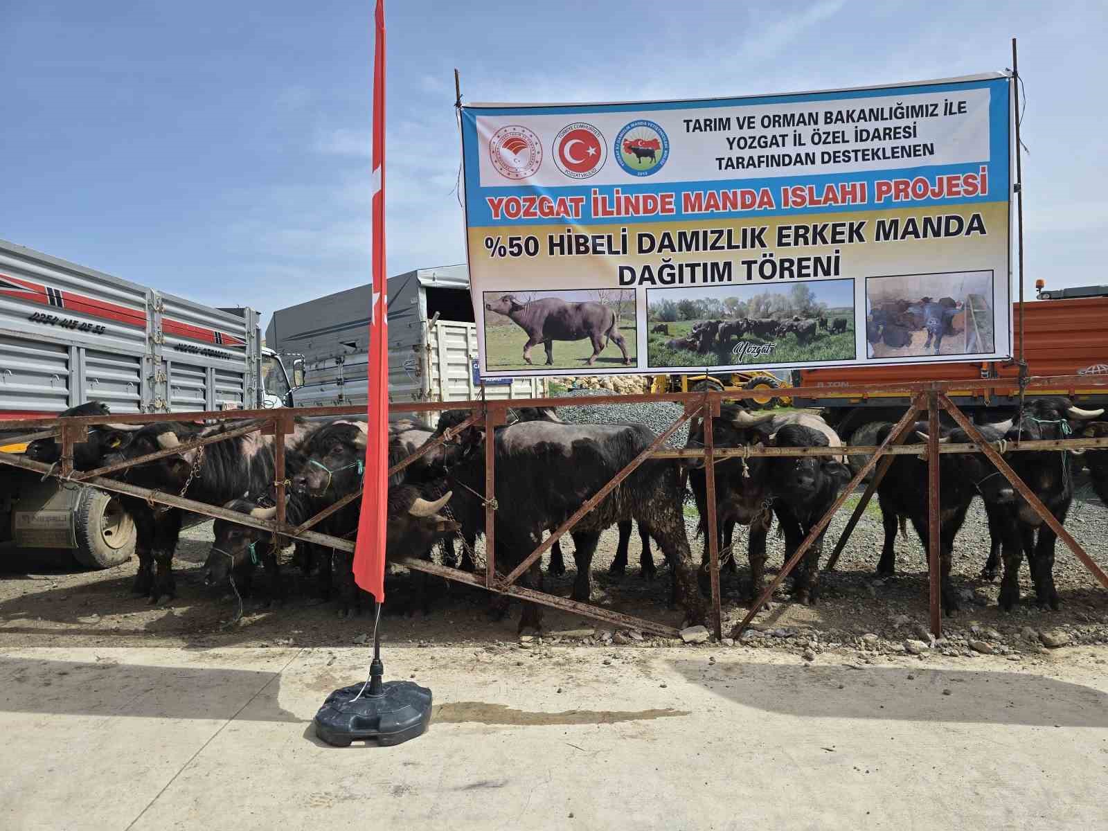 Yozgat’ta 20 manda üreticilere teslim edildi