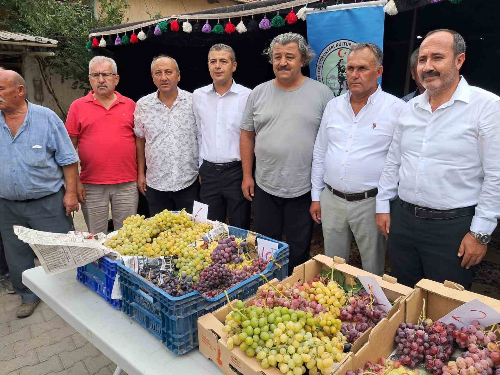 Avşar Üzümü coğrafi işaretle tescillendi
