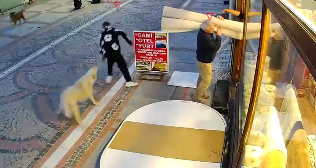 Edirne’de başıboş köpek saldırısı: 19 yaşındaki genç yaralandı