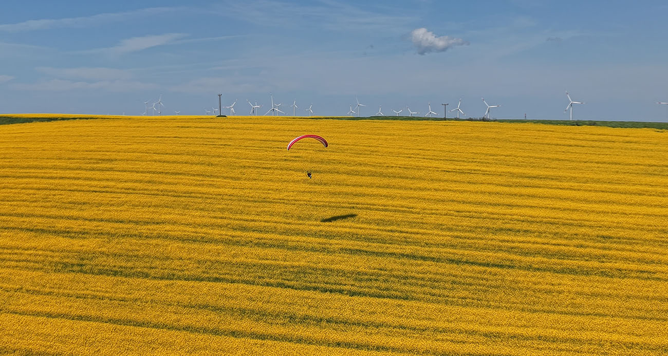 Tekirdağ’da sarı şölen: Paramotorlar sarı tarlaları gezdi