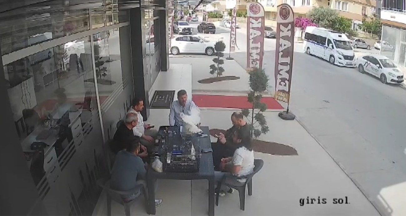 Sohbet masasına düşen davetsiz misafir kısa süreli paniğe neden oldu