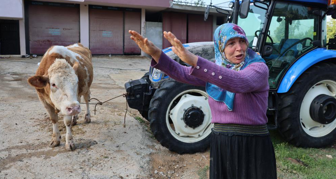 Kozan’daki selde hayvanları telef olan kadın: 