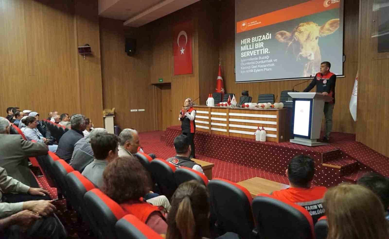 Muğla’da buzağı kayıplarını azaltmaya yönelik eğitimler başladı
