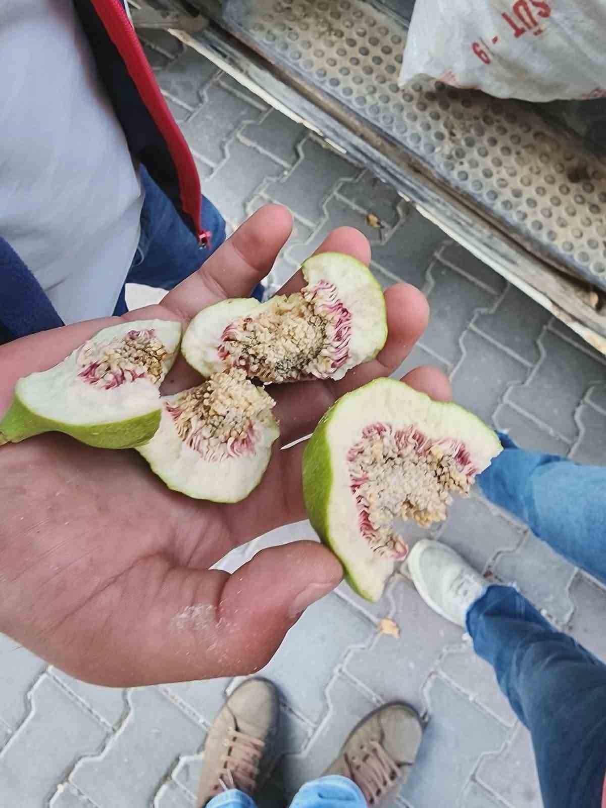 buharkent-te-ureticiler-belgesiz-ilek-kullanimina-karsi-uyarildi