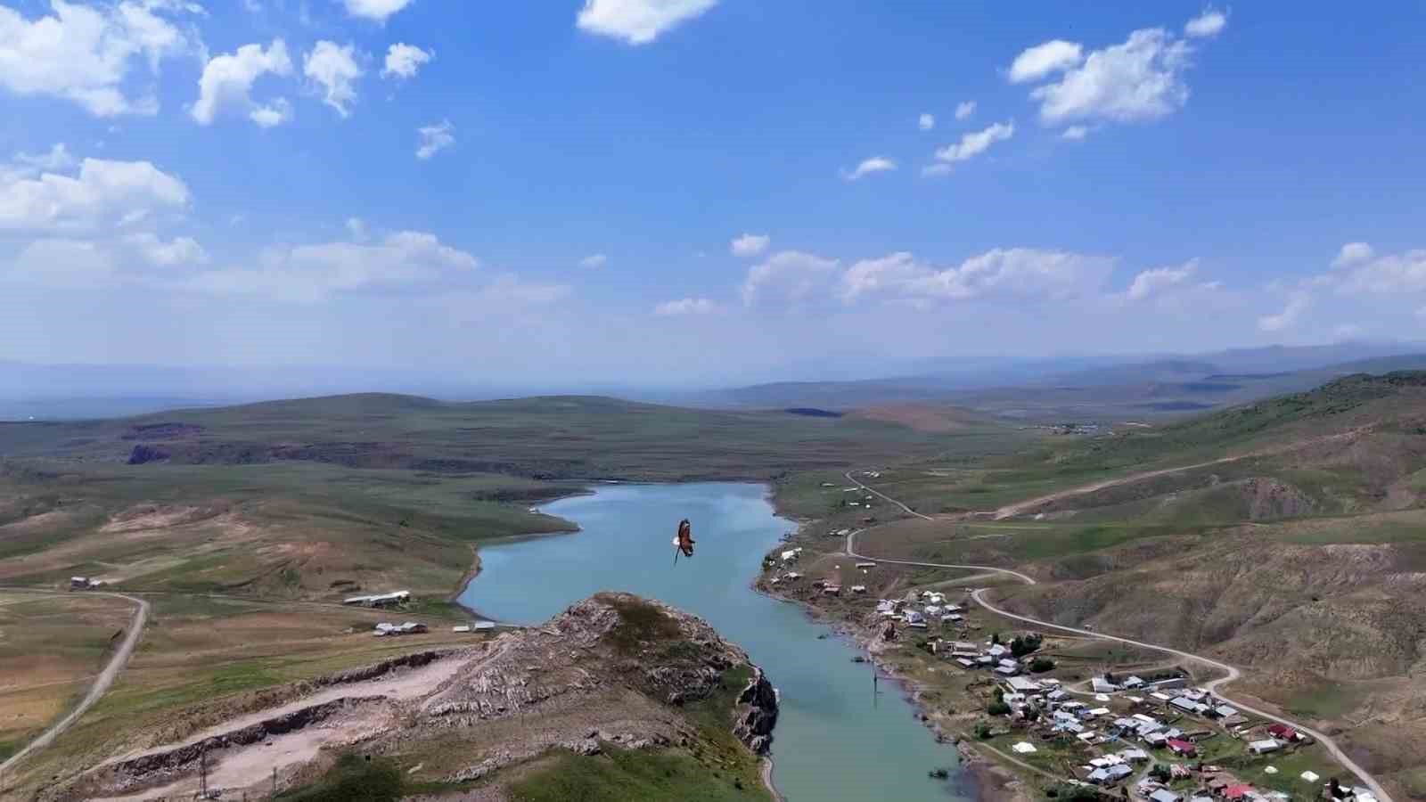 kartal-ile-avladigi-yilanin-gokyuzunde-suzuldugu-anlar-dron-kamerasinda