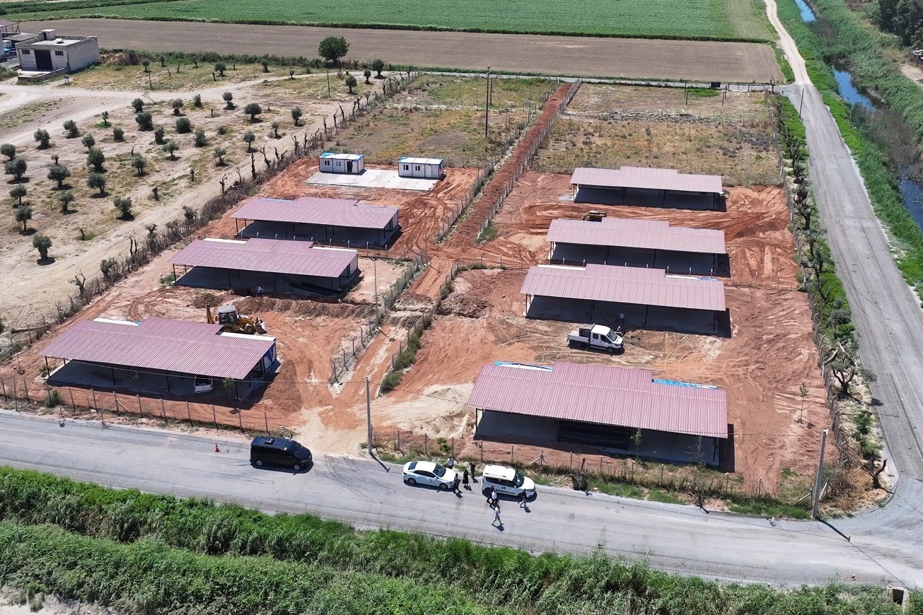 efeler-belediyesi-nden-sokak-hayvanlari-icin-yeni-yasam-alani