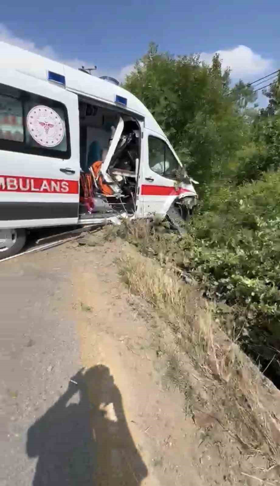 hasta-tasiyan-ambulans-yoldan-cikarak-yesillik-alana-savruldu