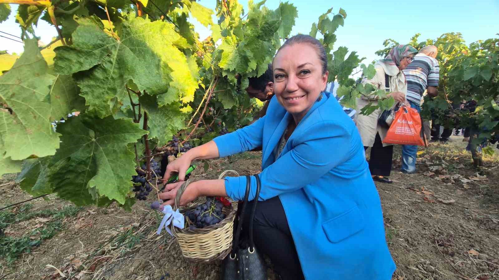 tekirdag-da-14-bag-bozumu-senligi-coskusu
