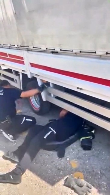teker-arasina-giren-kedi-ekipler-tarafindan-cikartildi