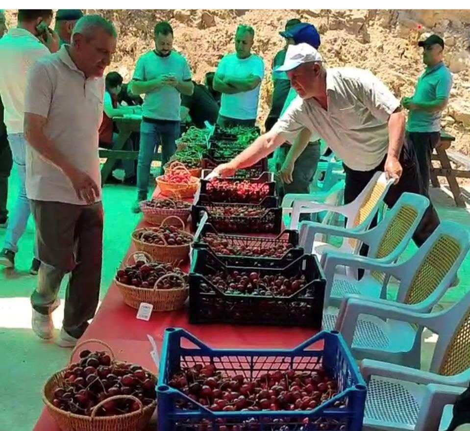 hisarcik-kutlubeyler-koyunde-kiraz-festivali-coskusu