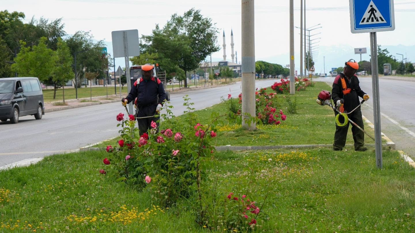 erzincan-da-yesil-alanlarda-bakim-calismalari-suruyor