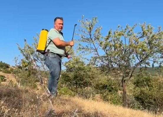 tarla-bos-kalmasin-diye-diktigi-badem-agaclarindan-ilk-kez-verim-aldi