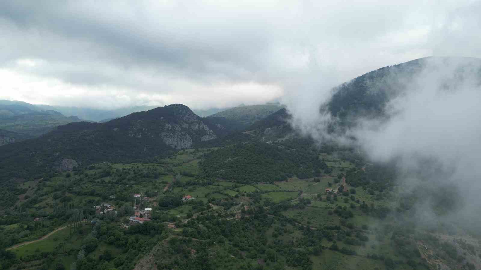 amasya-da-ormanlik-alanlara-girisler-yasaklandi