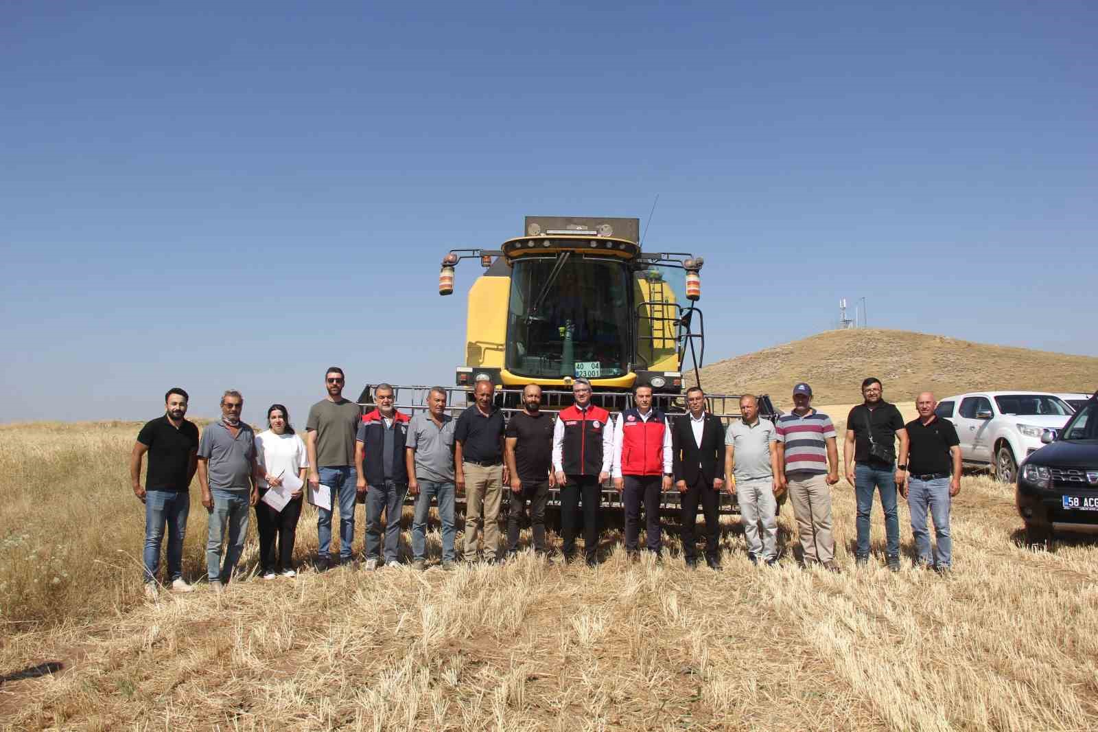 sivas-ta-ilk-kez-toprakla-bulusturulan-5-farkli-cesit-bugday-hasat-edildi