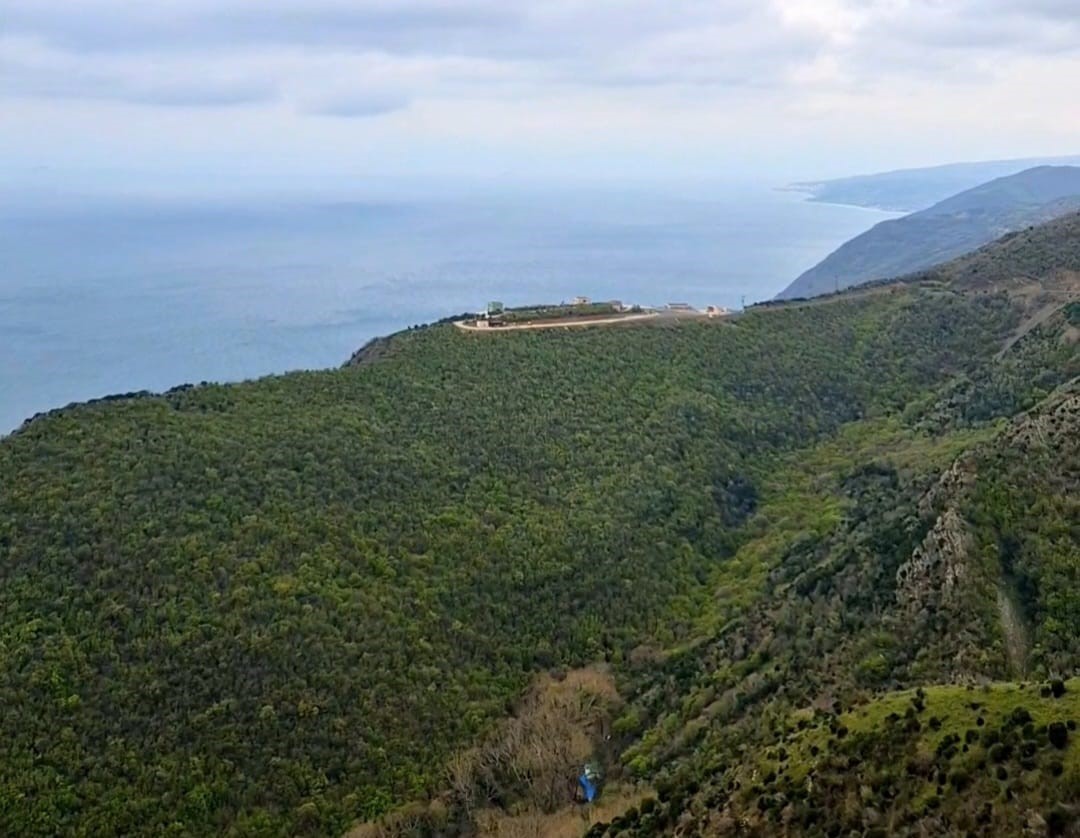 tekirdag-da-ormanlara-giris-12-hazirandan-itibaren-yasaklandi
