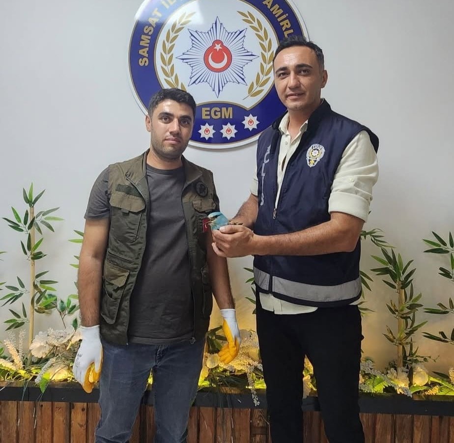 polis-ekiplerinin-buldugu-yarali-gokkuzgun-koruma-altina-alindi