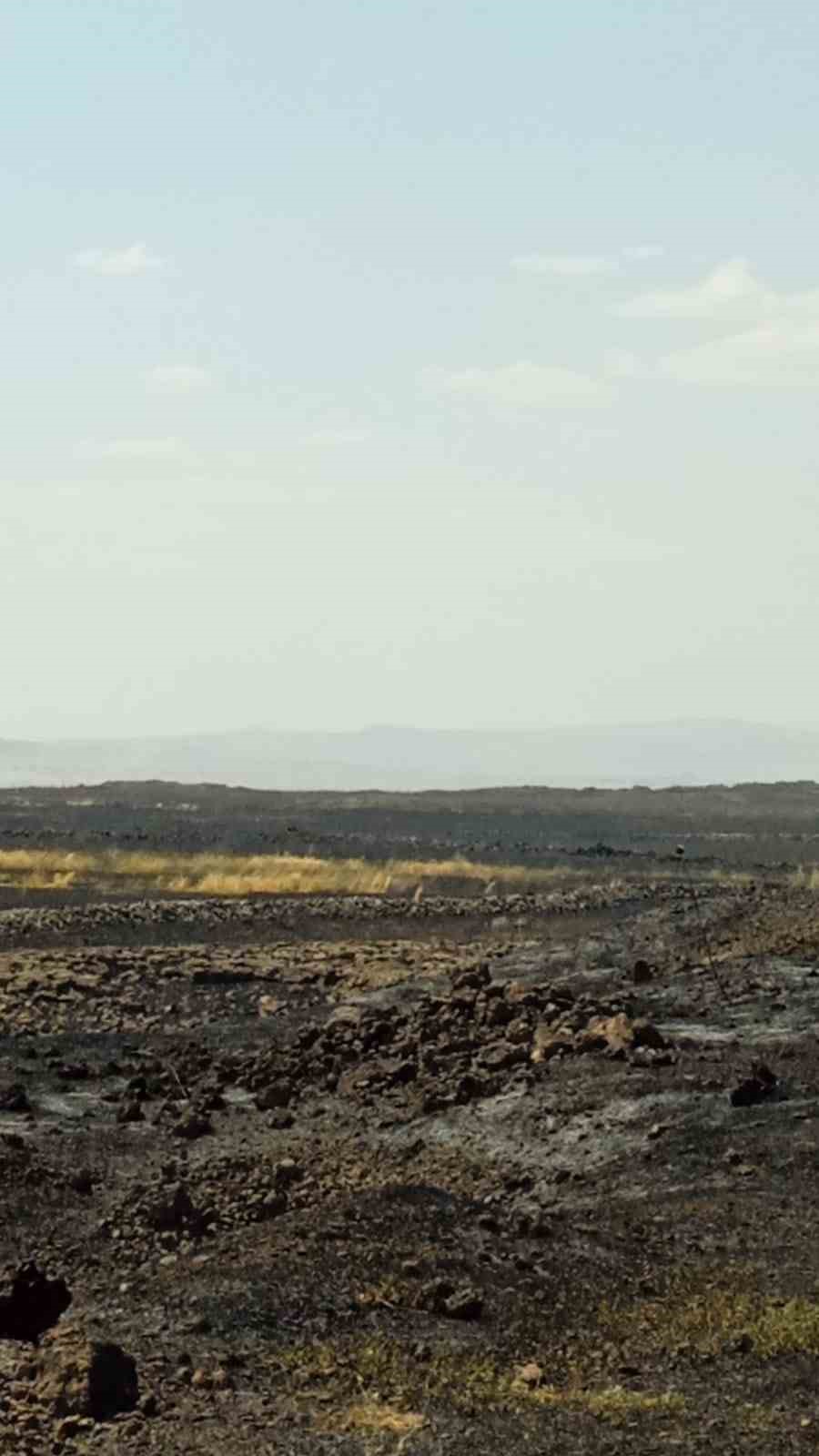 mardin-de-cikan-aniz-yangini-sonduruldu