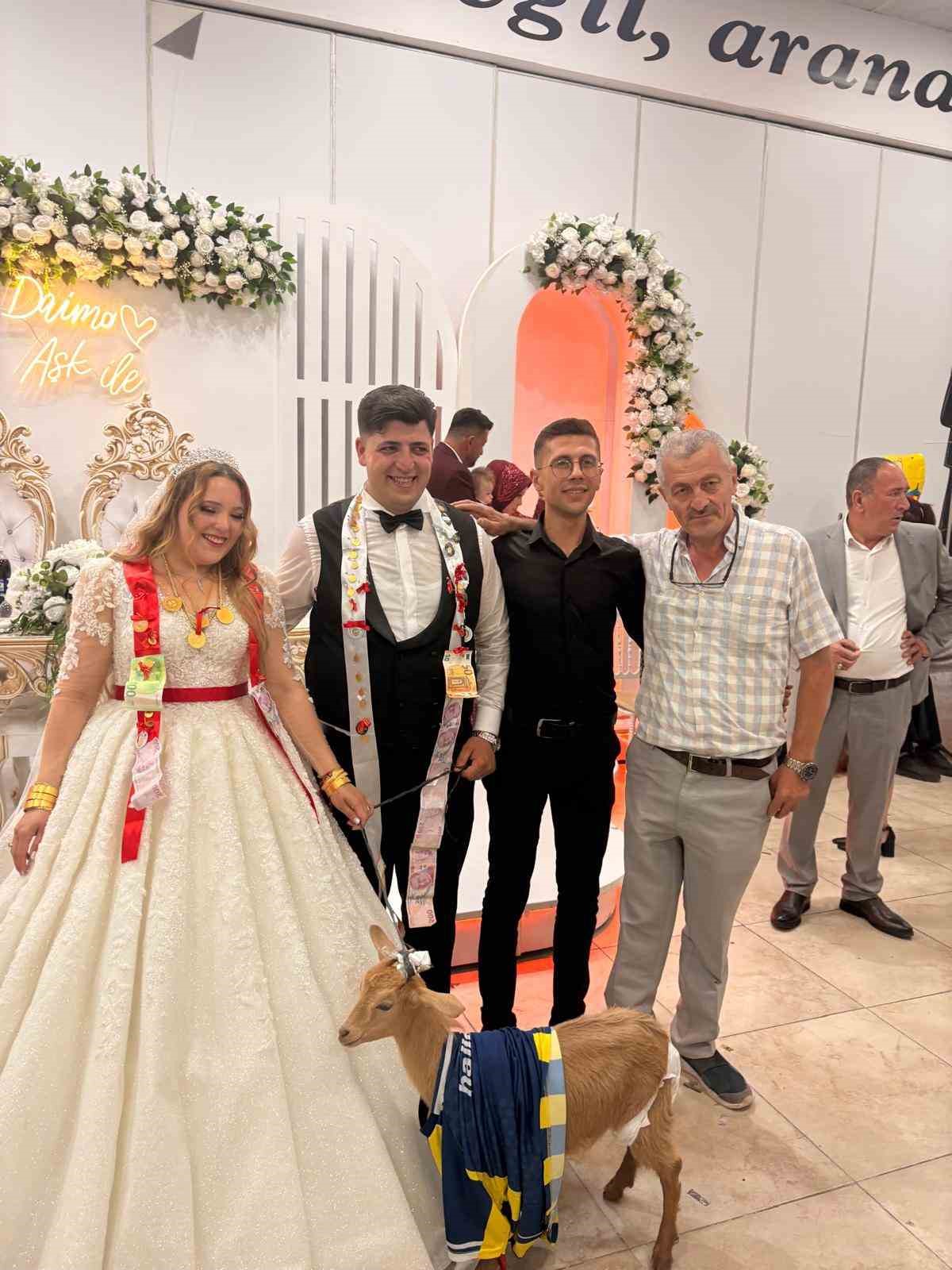 dugunde-damada-fenerbahce-formasi-giydirilmis-kuzuyu-hediye-ettiler