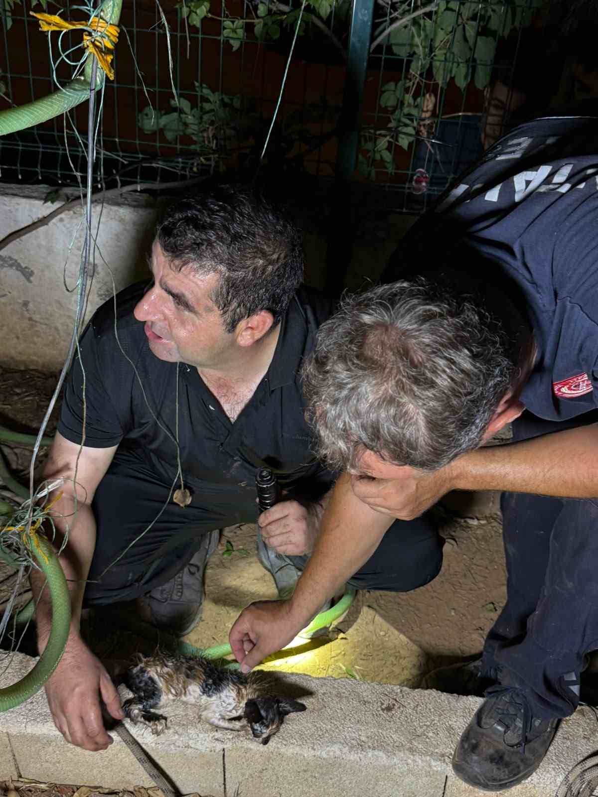30-metrelik-sondaj-kuyusuna-dusen-yavru-kedi-itfaiyenin-5-saatlik-film-gibi-operasyonu-ile-kurtarildi