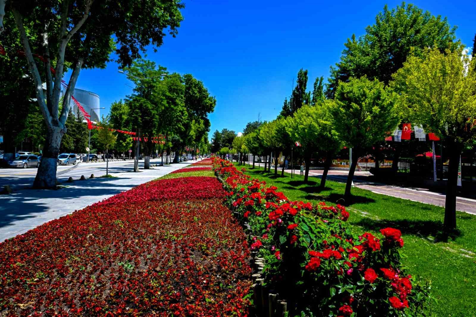 malatya-da-park-ve-kavsaklar-ciceklerle-suslendi
