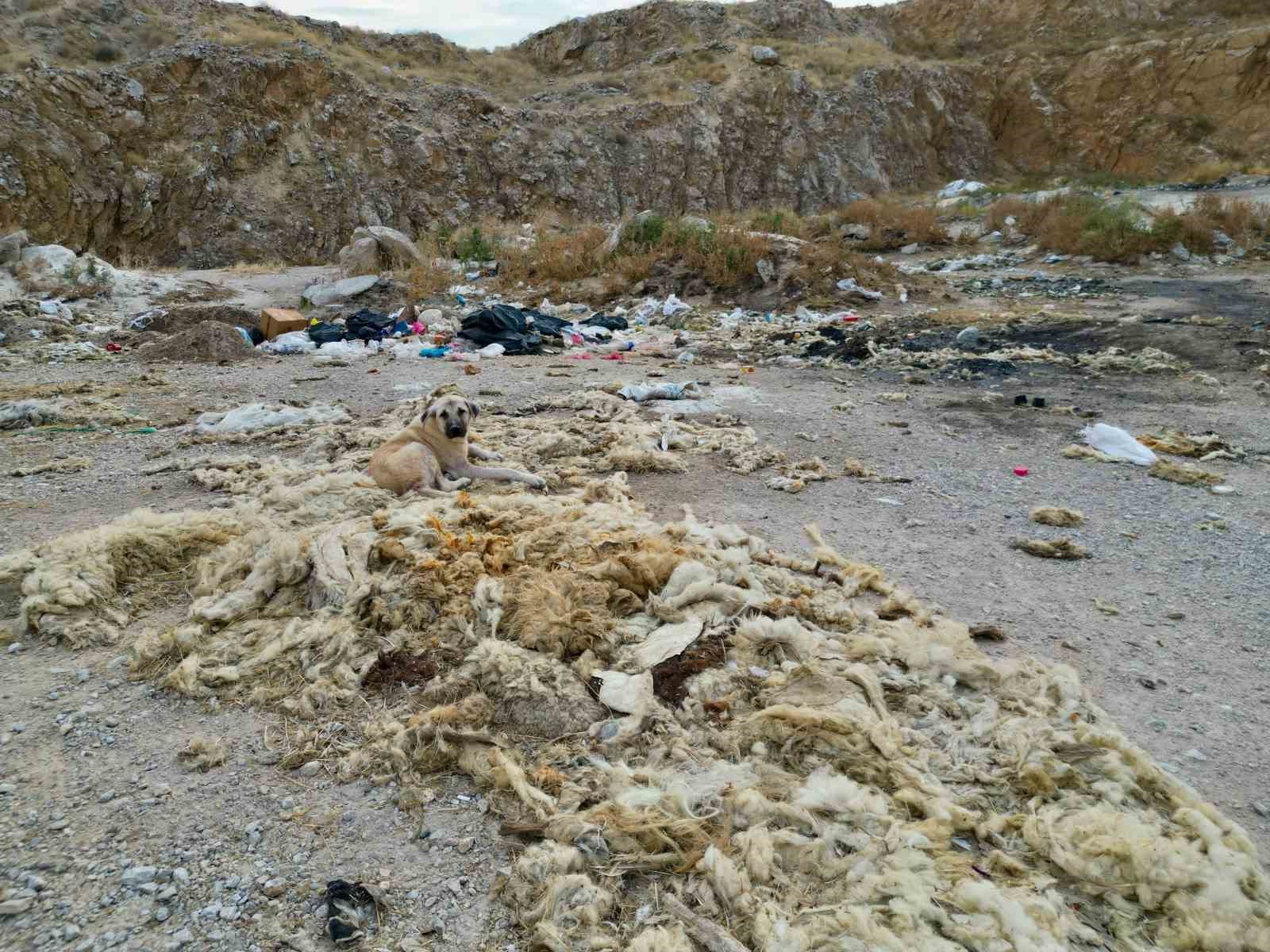 copluge-donen-kum-ocaginda-cevre-felaketi-yasaniyor