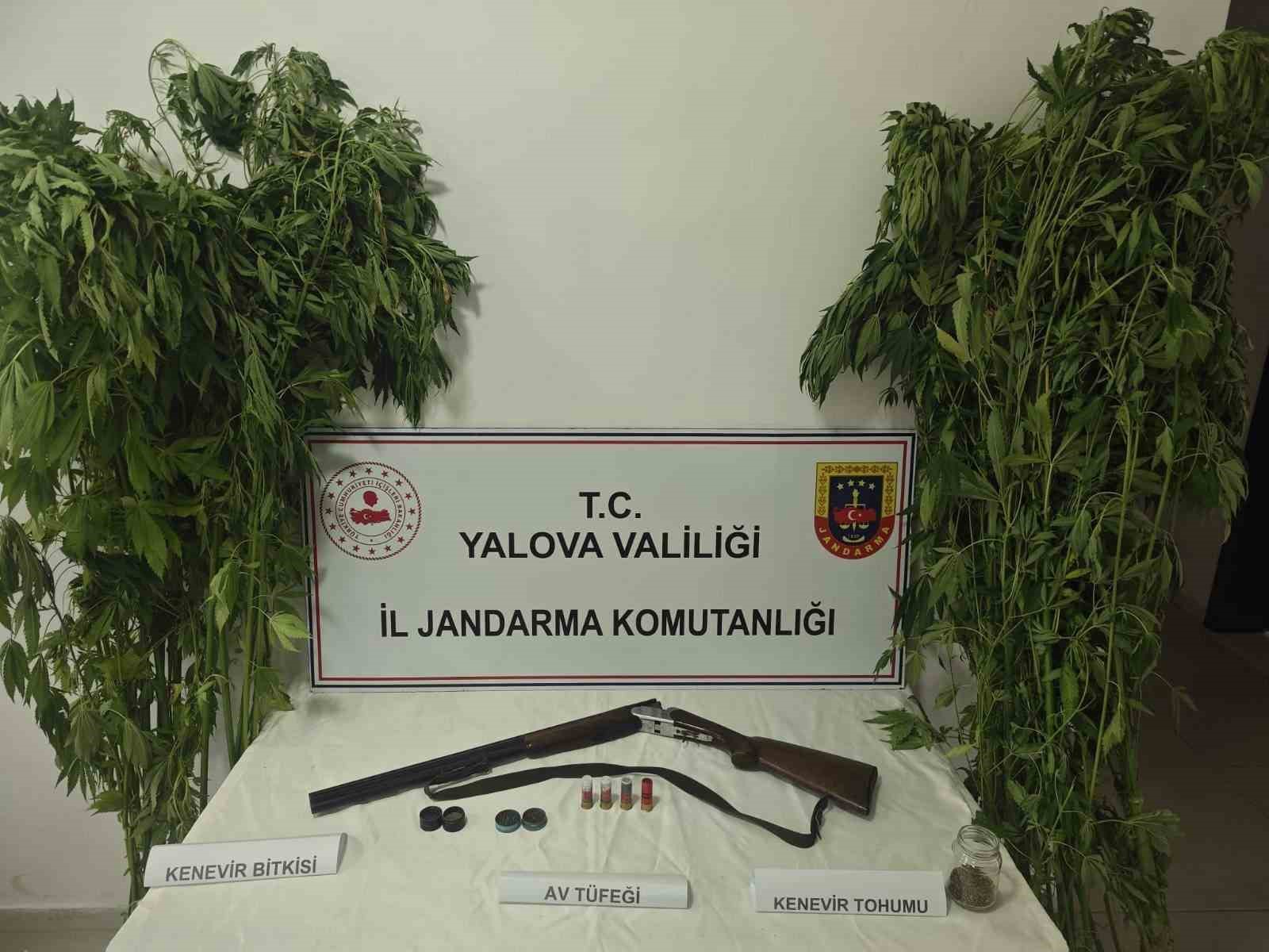 yalova-da-serada-uyusturucu-operasyonu-2-gozalti