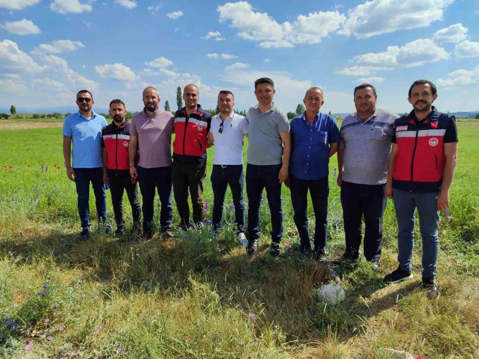 kutahya-da-corek-otu-uretimi-yakindan-takip-ediliyor
