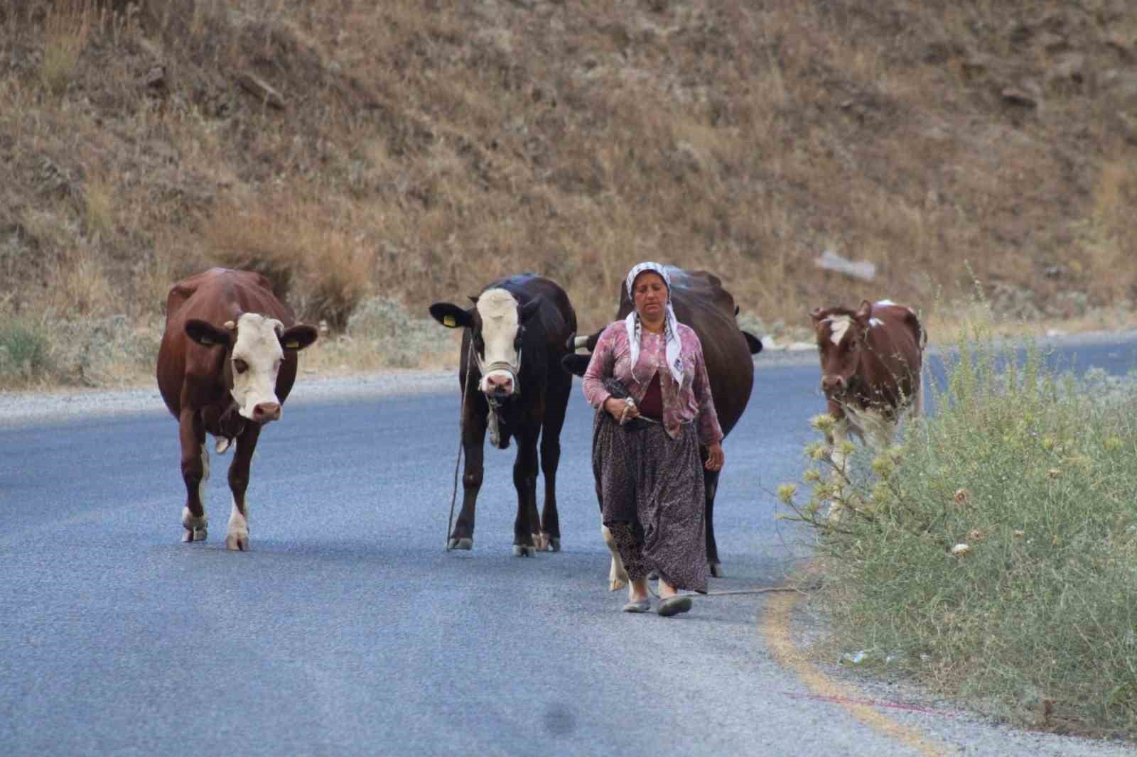 alevlerden-kactilar-hayvanlarini-ve-kendi-canlarini-zor-kurtardilar