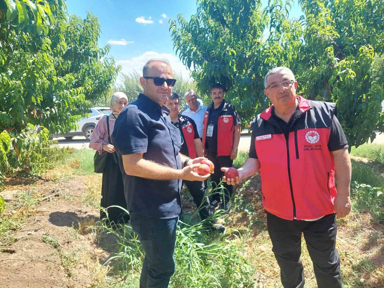 canakkale-de-bitkisel-uretim-projeleri-degerlendirildi