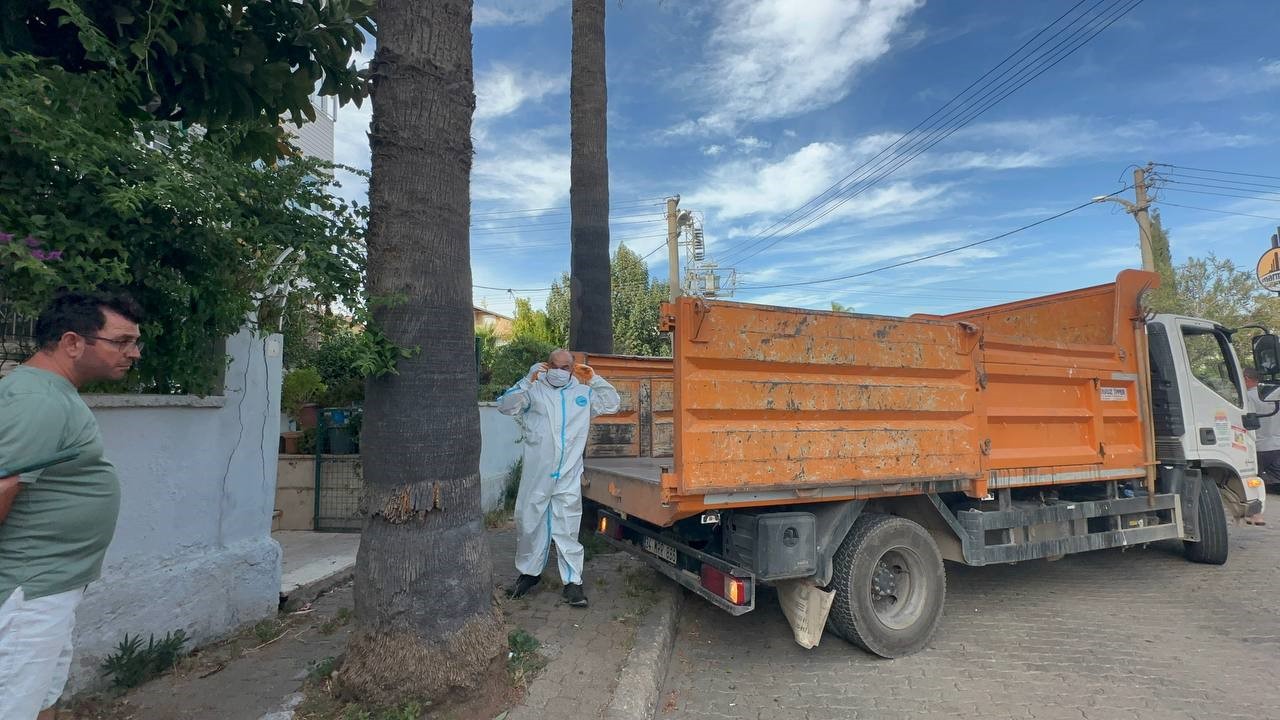 marmaris-teki-cop-evden-bir-kamyon-cop-ve-30-a-yakin-kedi-cikti