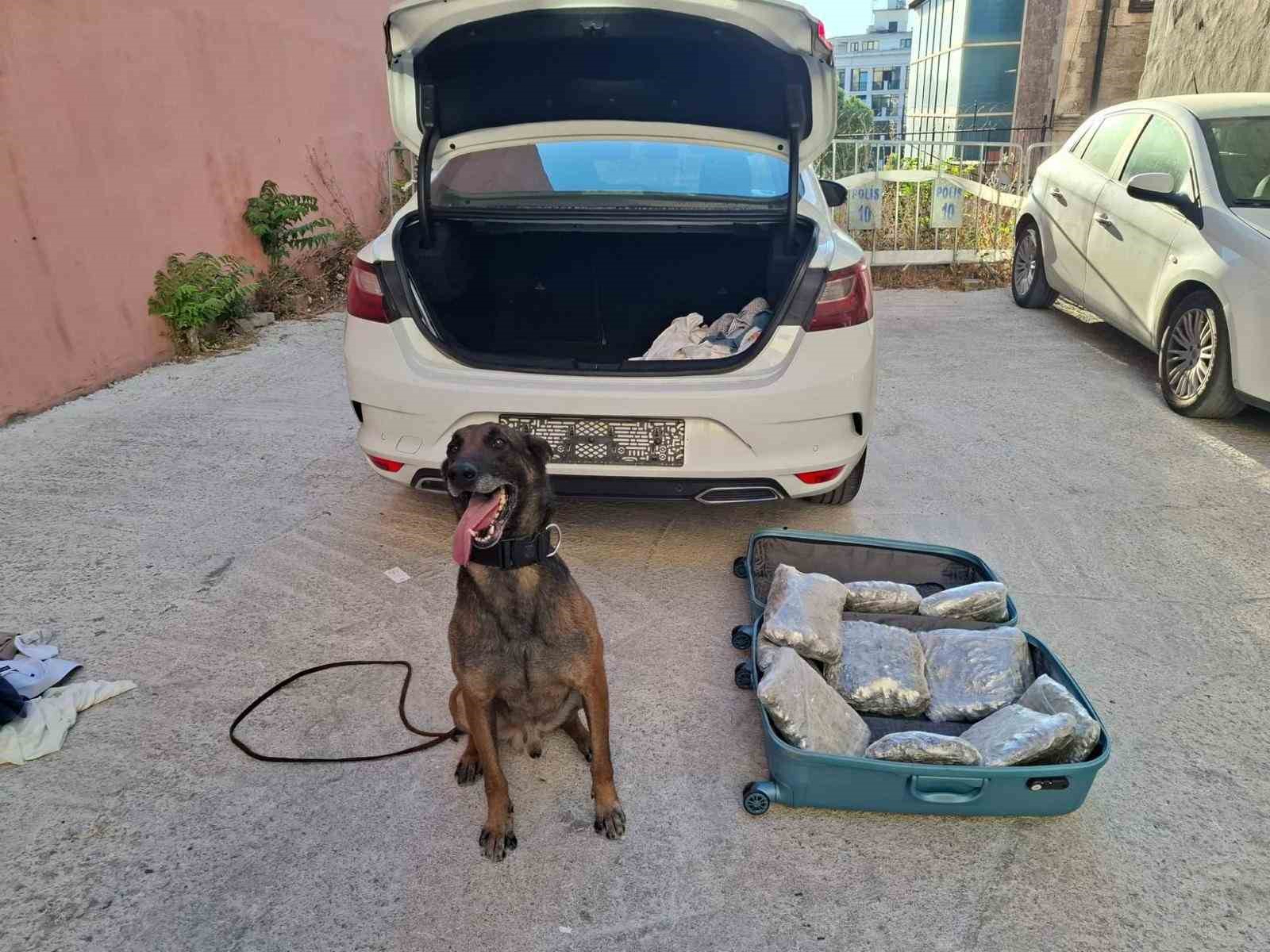 balikesir-polisinden-narkorekor