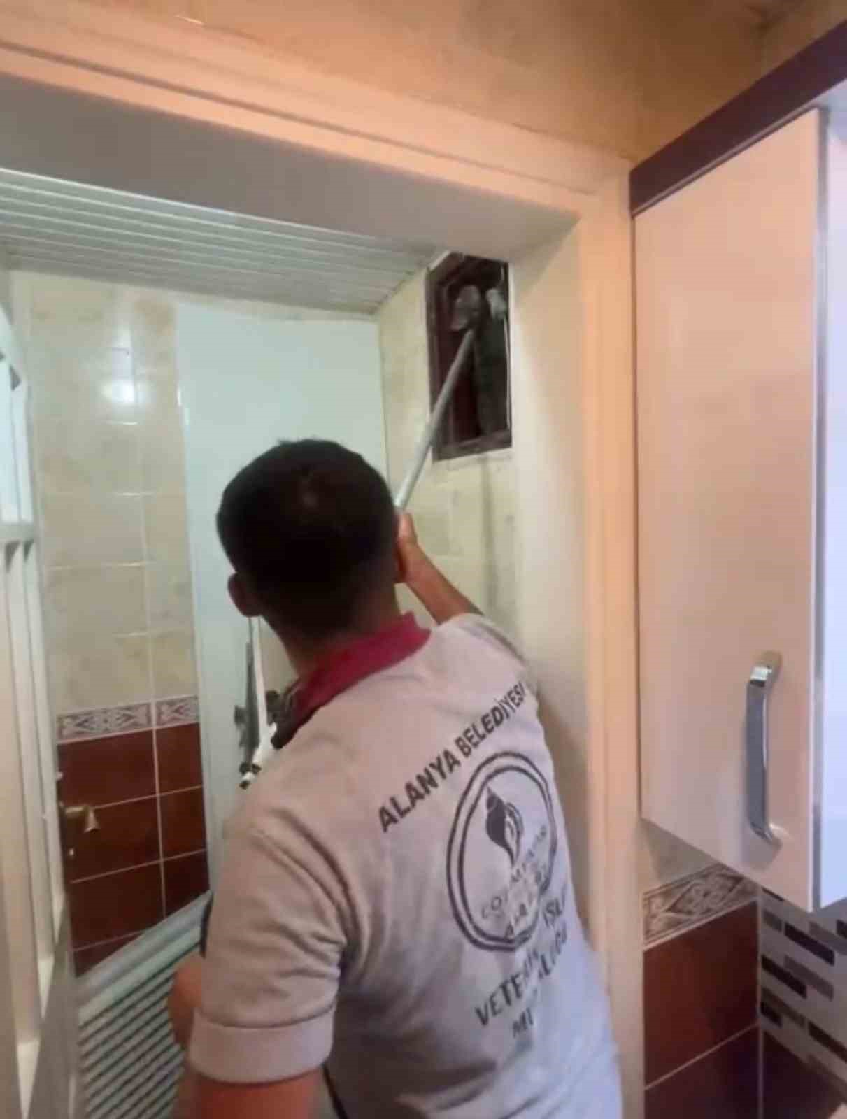 alanya-da-havalandirma-bacasina-dusen-kedi-ekipler-tarafindan-kurtarildi