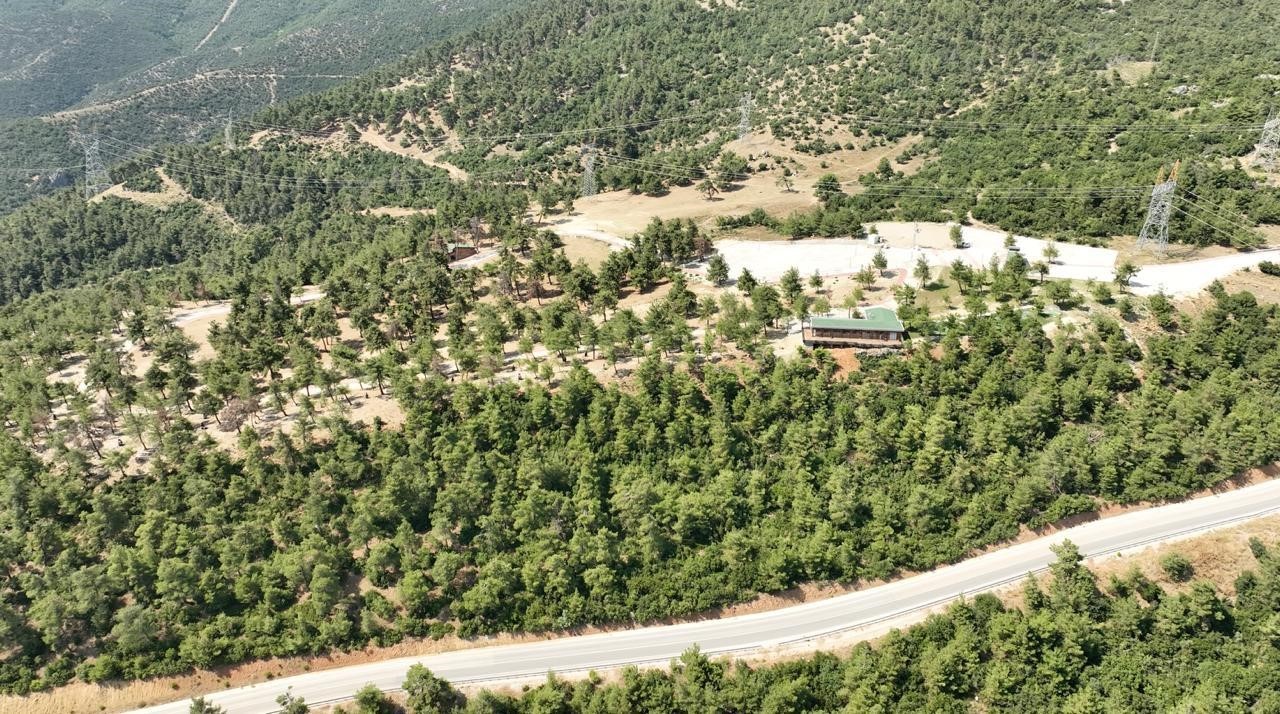 gursu-mesire-alani-yeniden-aciliyor