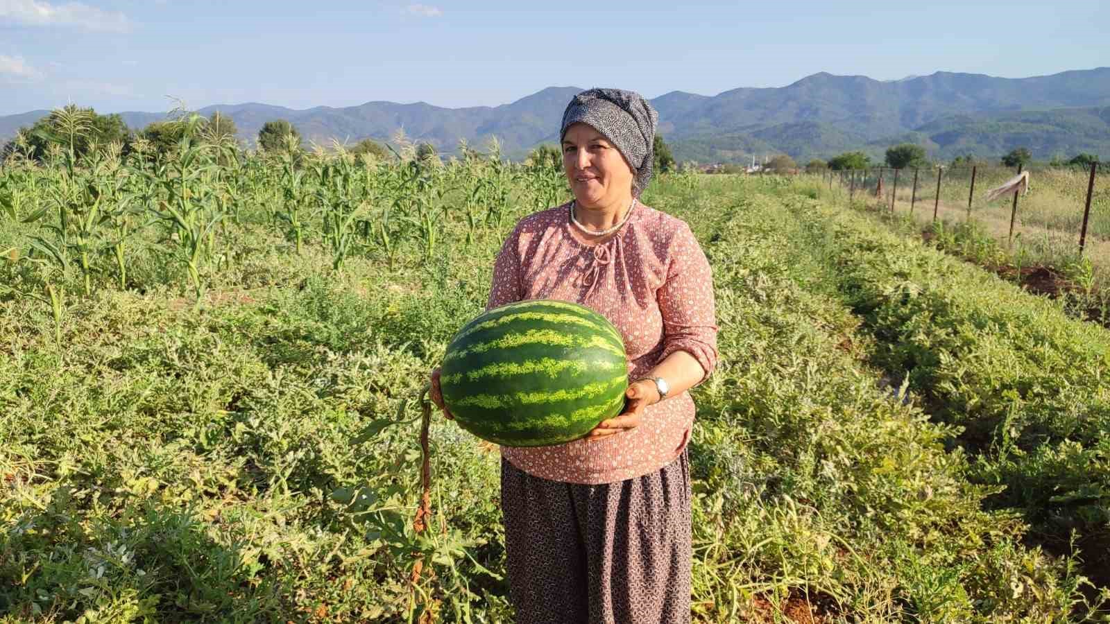 beyagac-ta-ata-tohumundan-gelen-bereket